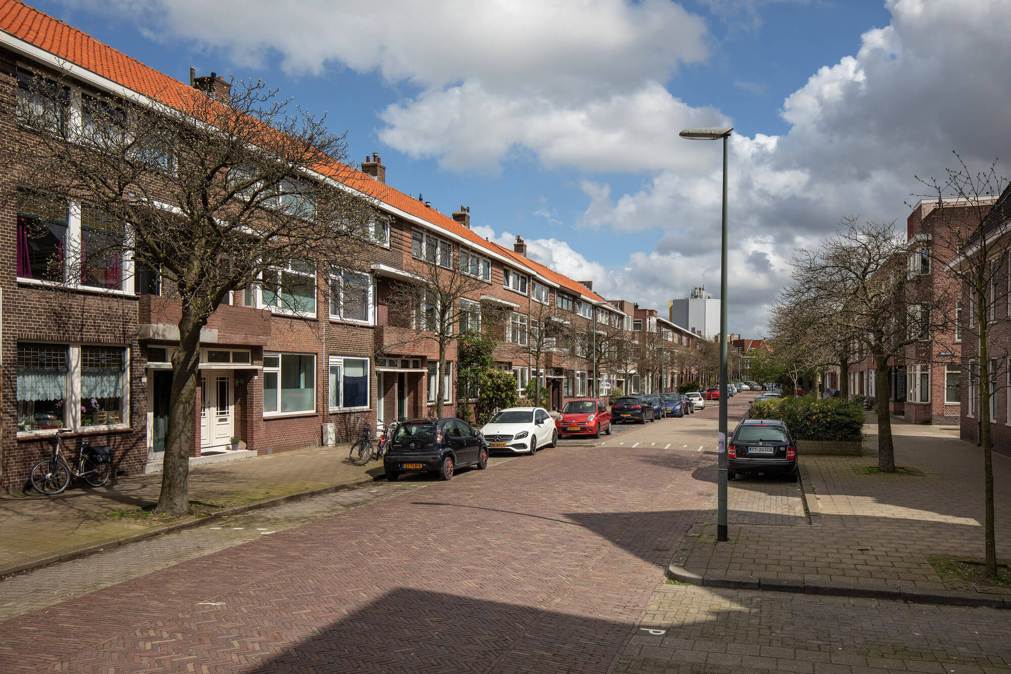 van ruijsdaellaan